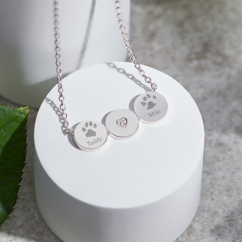 Paw print 2024 memorial necklace