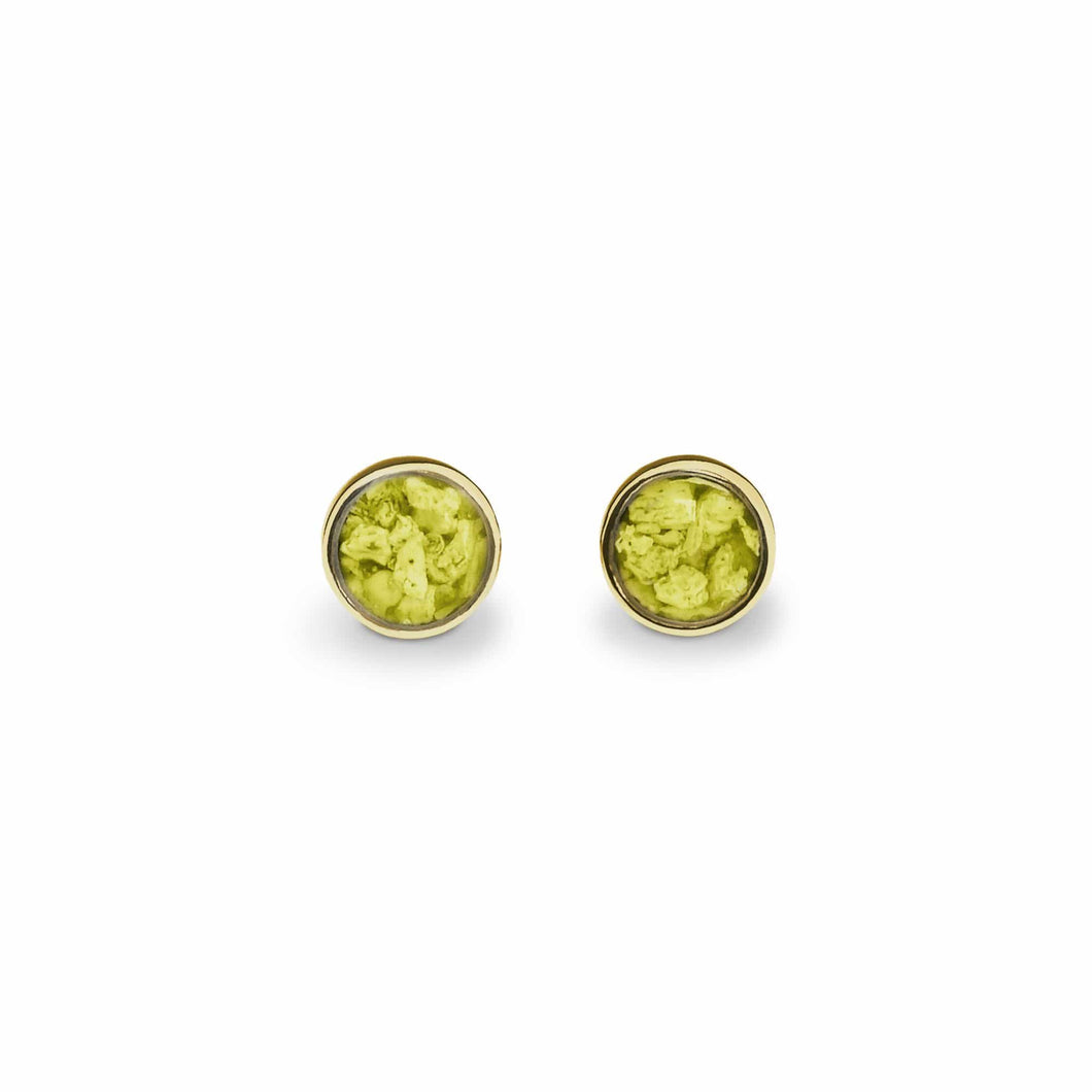 EverWith Ladies Classic Round Memorial Ashes Earrings