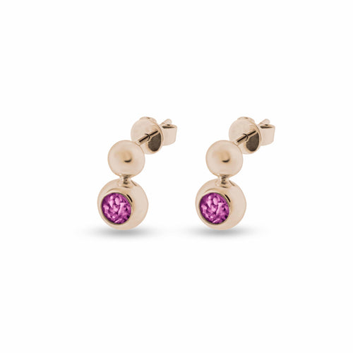 EverWith Ladies Rondure Drop Memorial Ashes Earrings