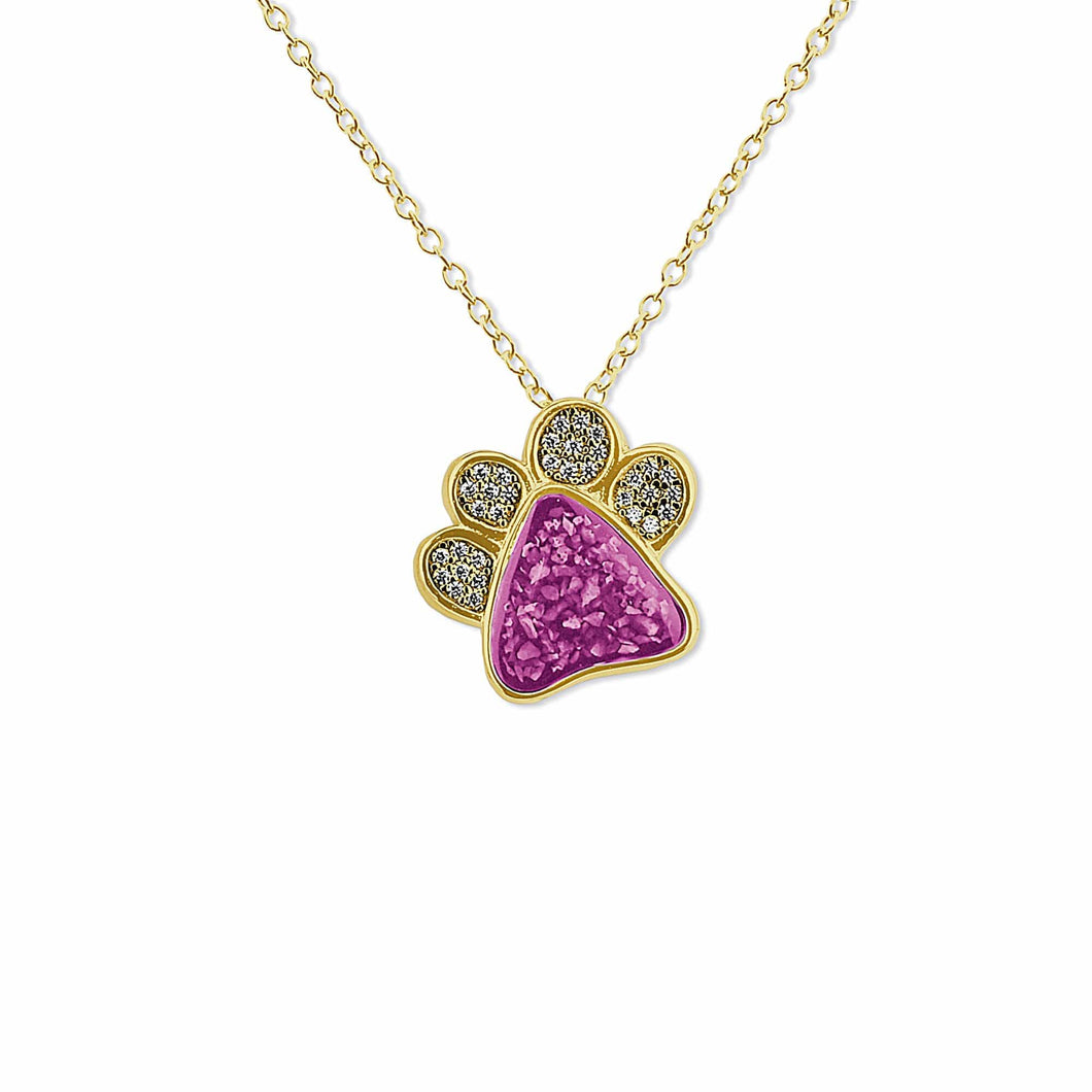 EverWith Unisex Paw Print Memorial Ashes Pendant with Fine Crystals