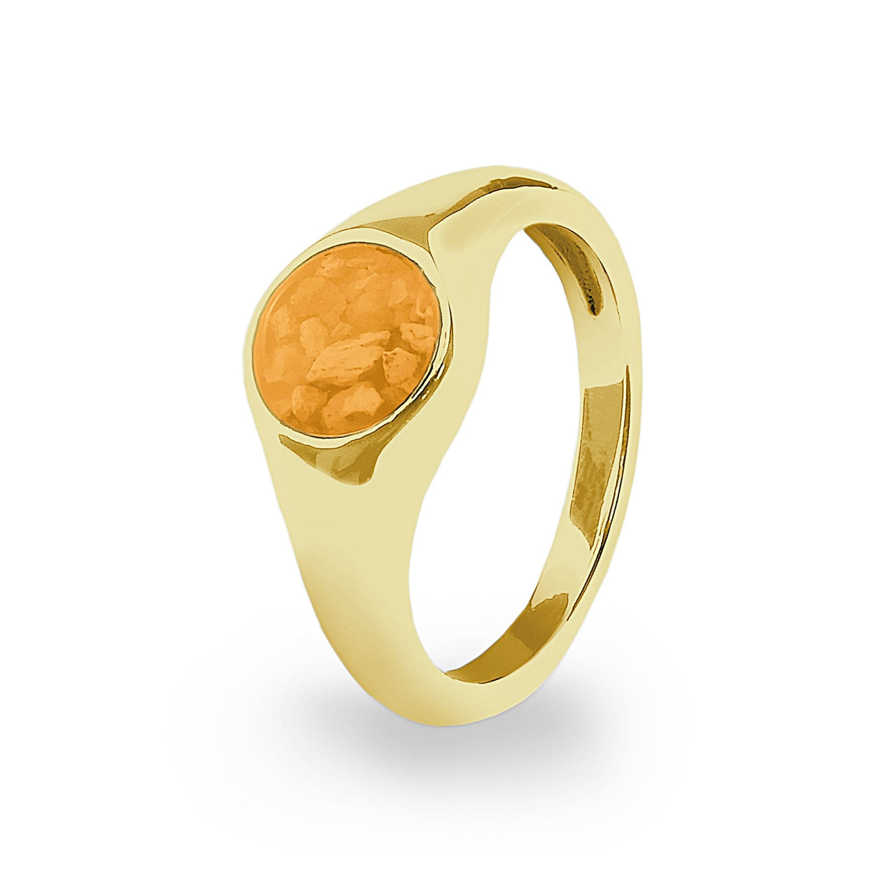 Load image into Gallery viewer, EverWith Unisex Pride Memorial Ashes Ring